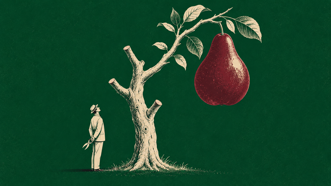 A pruned cream tree bears one oversized burgundy pear as a small gardener looks up, against a racing-green background.