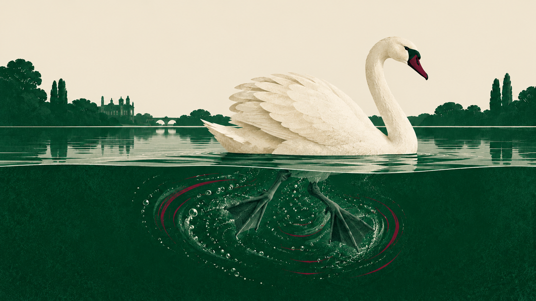 A calm white swan above dark green water, with its hardworking webbed feet revealed beneath the surface.