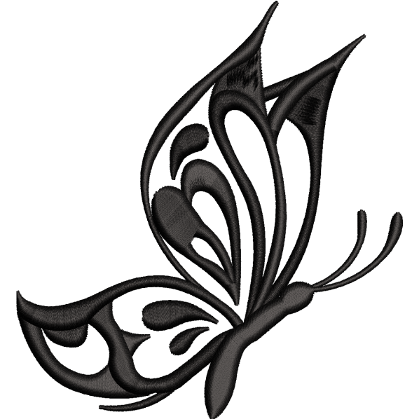 Black Butterfly