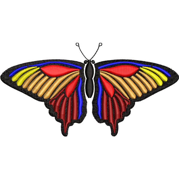 Blue Admiral Butterfly