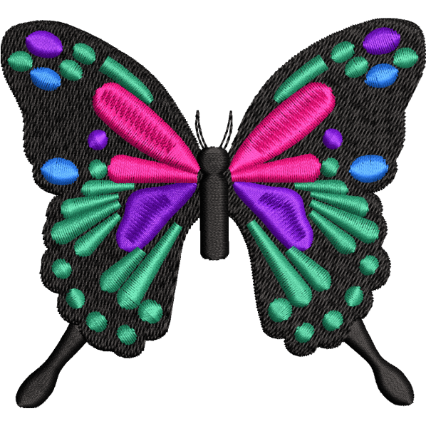 Common Black Butterfly