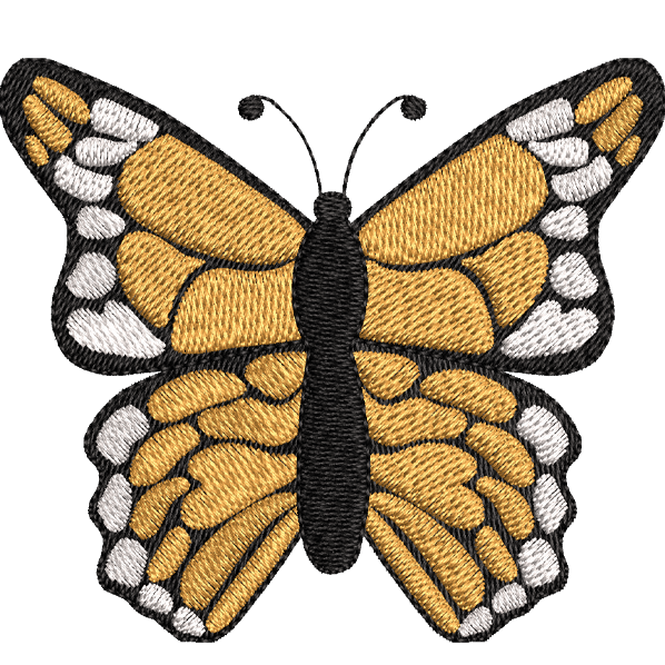 butterfly design