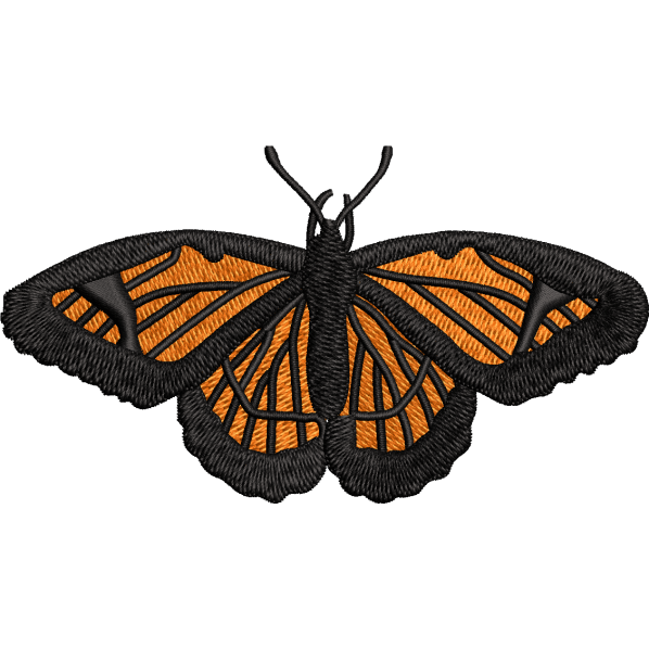 Charming Butterfly Design