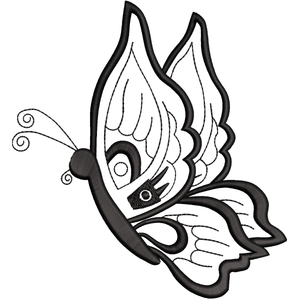 beautiful fly design