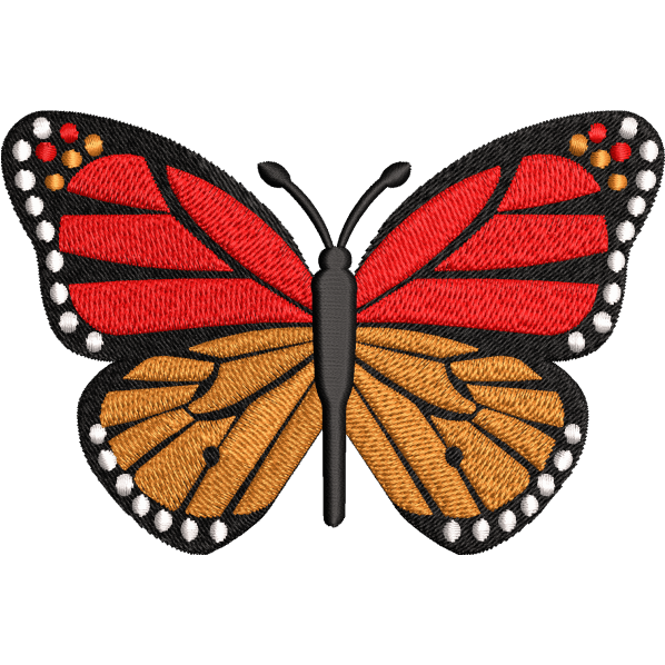 Monarch Butterfly