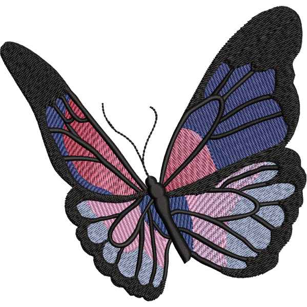 Beautiful Butterfly Design