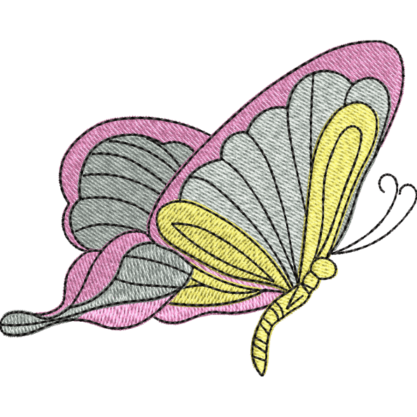 Pink and Yellow Butterfly