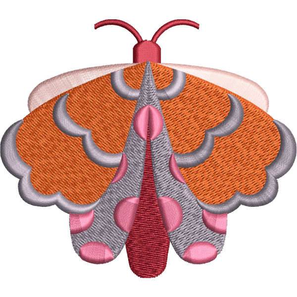 Pumpkin Color Butterfly Design
