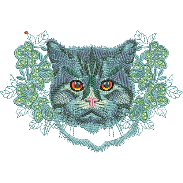 fire eyes cat