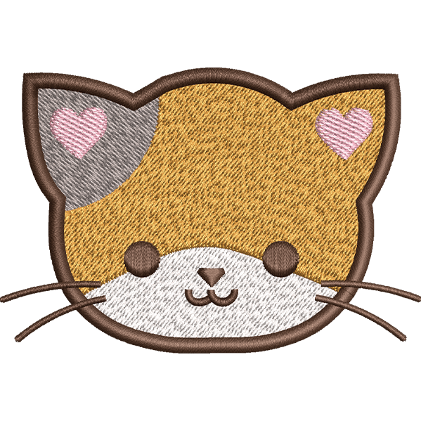 Pumpkin Color Cat Face