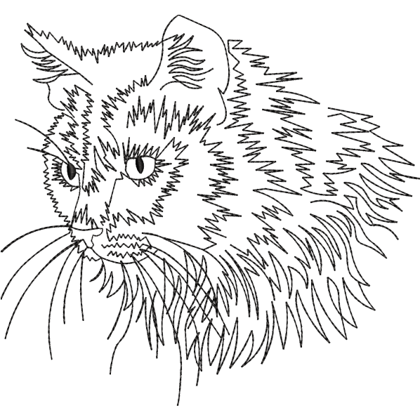 Cat Sketch Outline