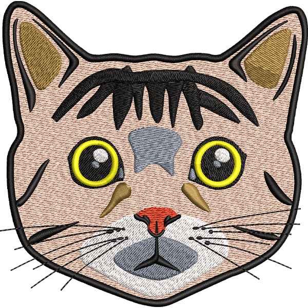 Amazed Cat Design