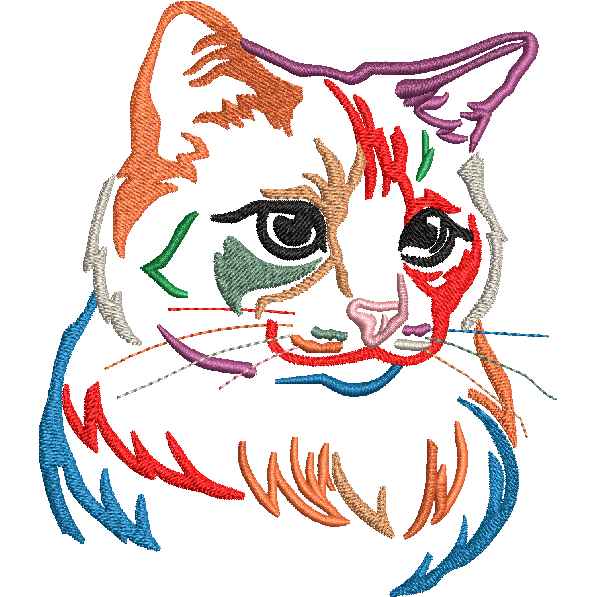 Cat Design