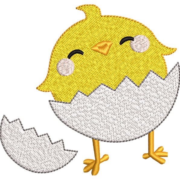 Chick Baby Out of Egg