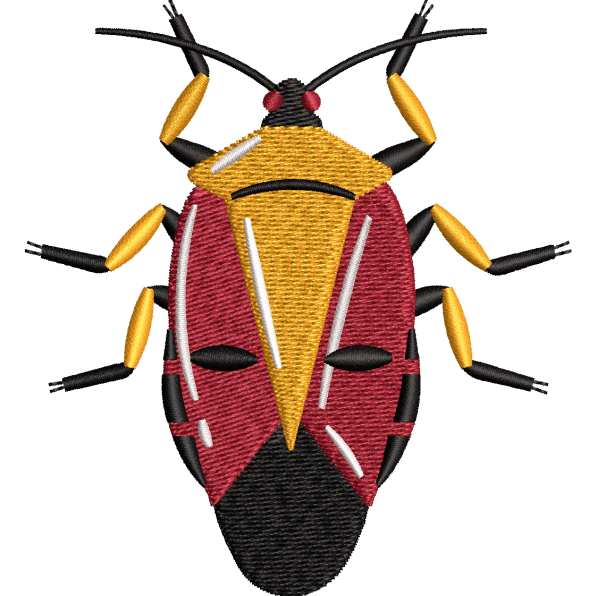 Red and Yellow Cockroach