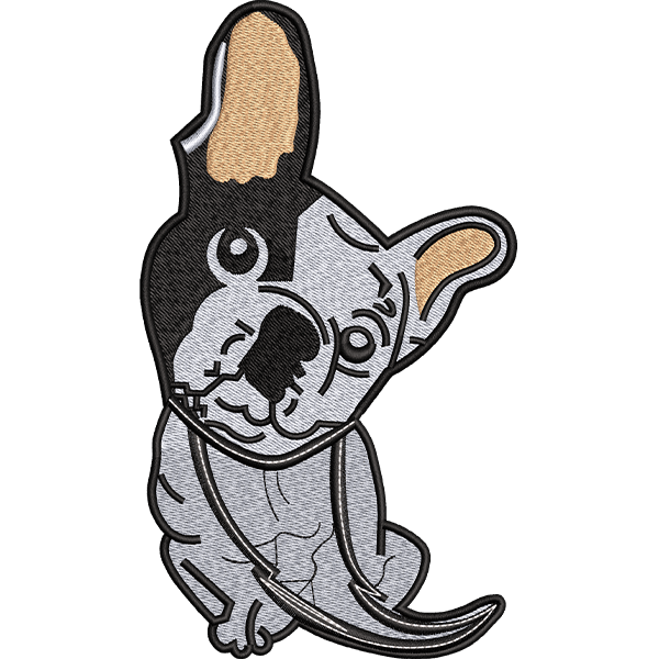 Curious Dog Design
