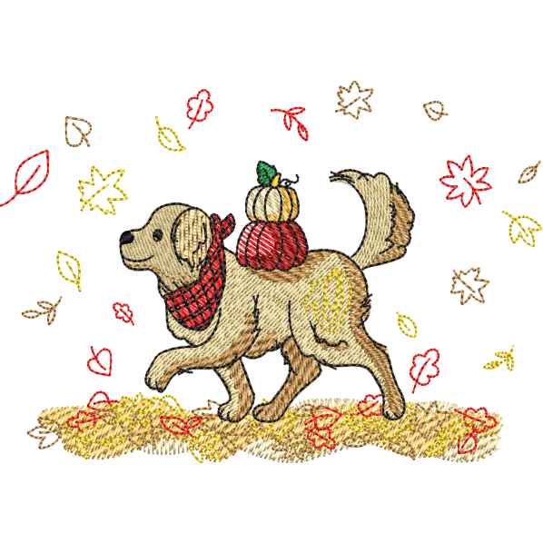 Beautiful Dog Design