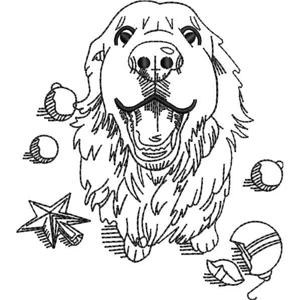 Pet Dog Design