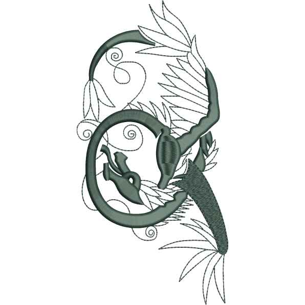 Gray Dragon Design