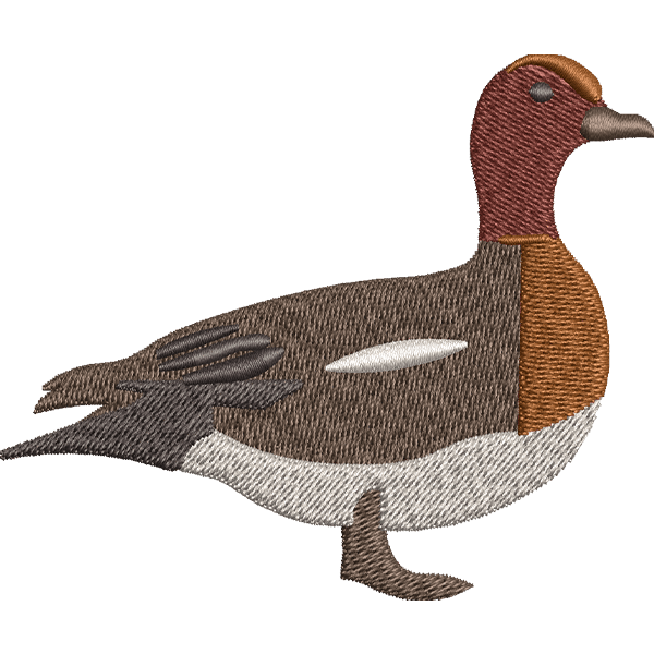 Mallard Duck Design