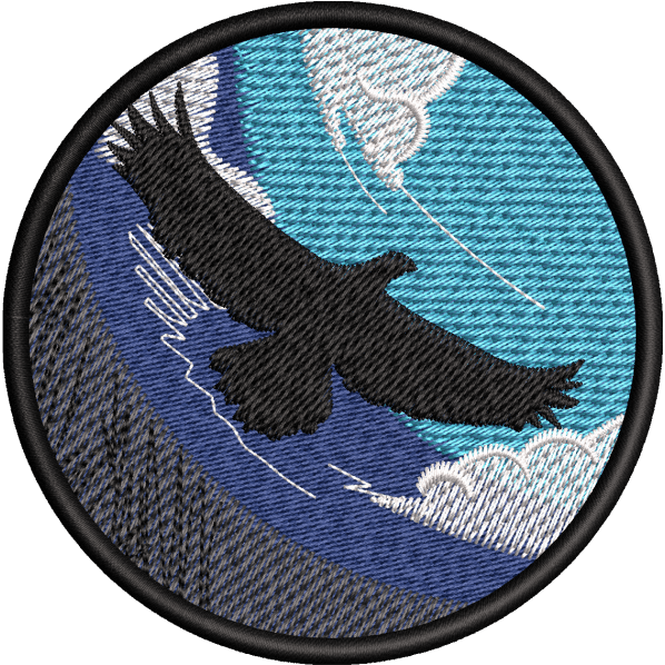 Eagle Patch Design