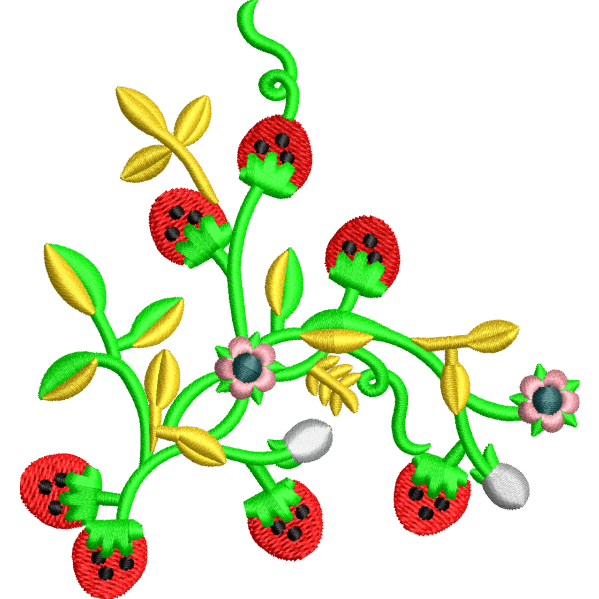 Strawberry Plant Design