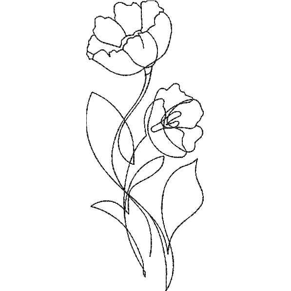 Flower Outlined Design