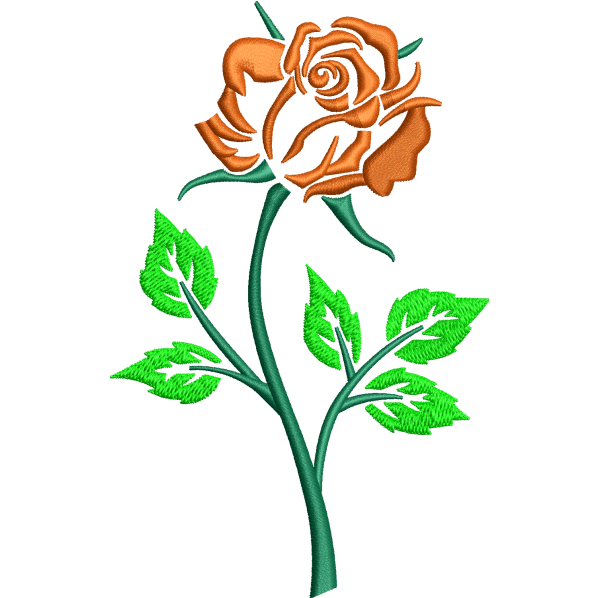 Iris Flower Design