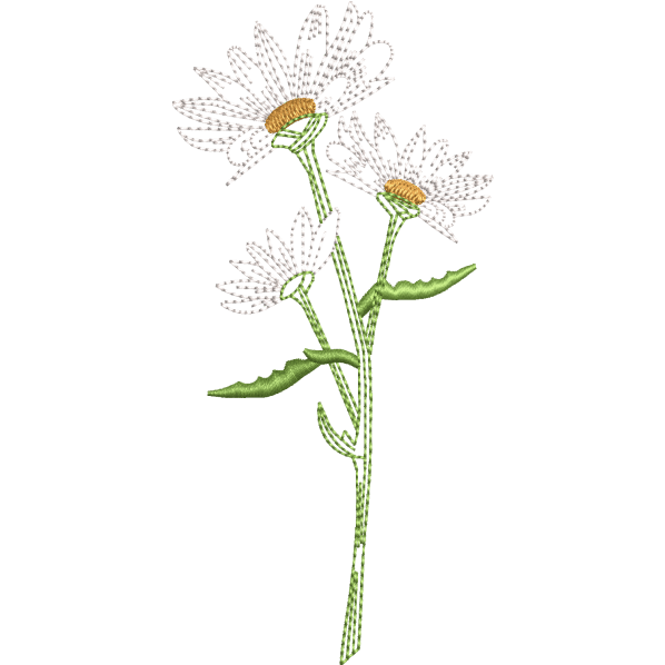 White 3 Flowers
