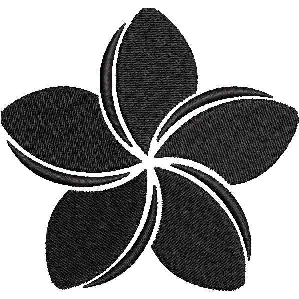 Star Flower Design
