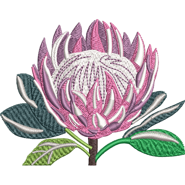 Beautiful Pink Flower Design