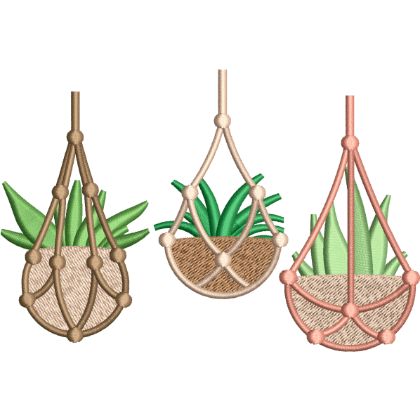 Plants In Pots Design