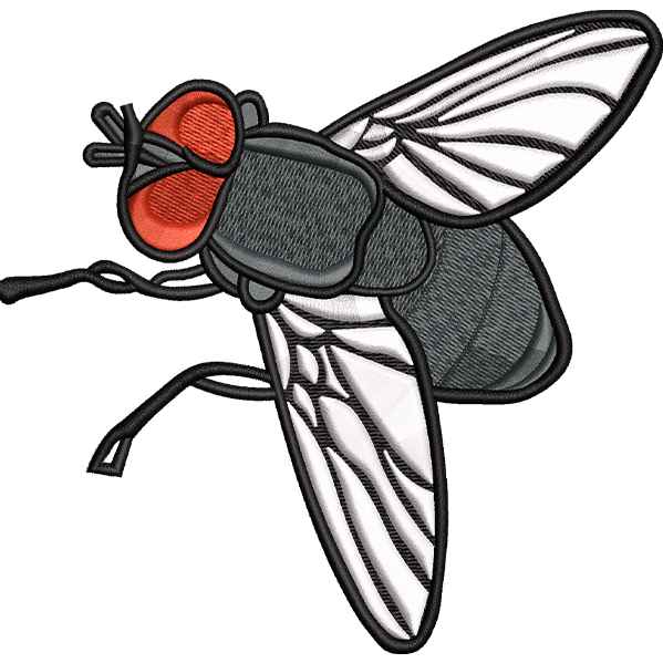 Fly Design