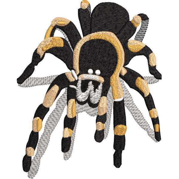 Gold Spider Design