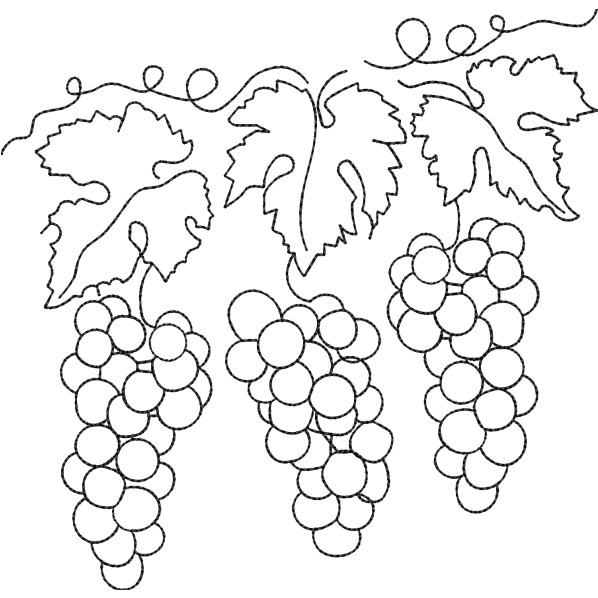 Grapes Bunch Design