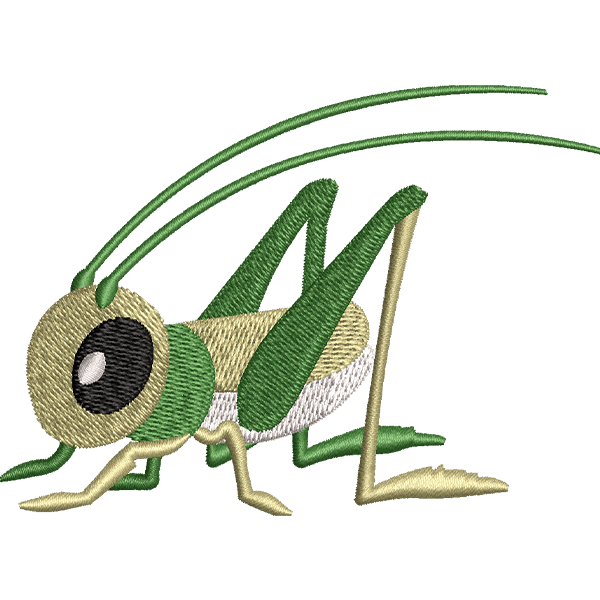 Grasshopper B Design