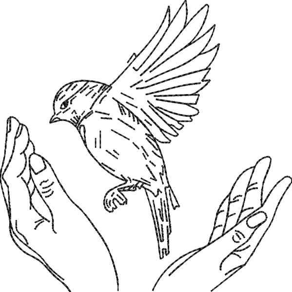 Bird in Hand Design