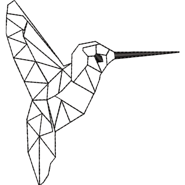 Hummingbird Sketch