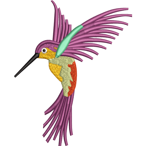 Beautiful Hummingbird