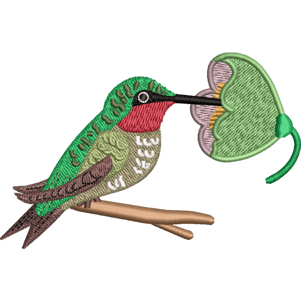Hummingbird With Flower