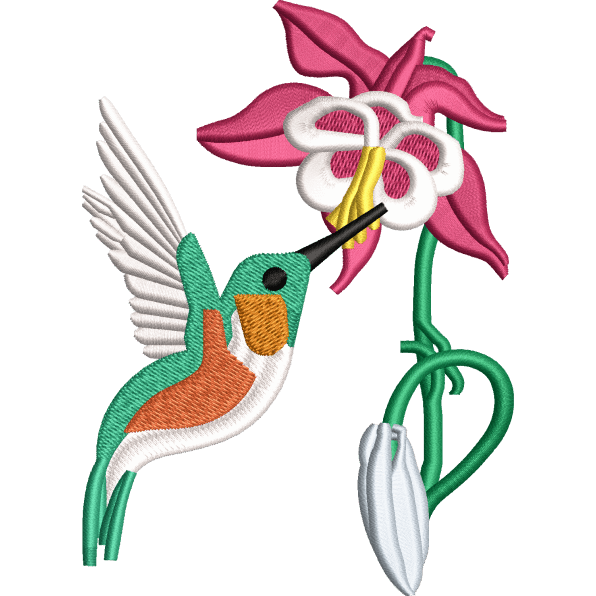 Hummingbird With Pink Flower