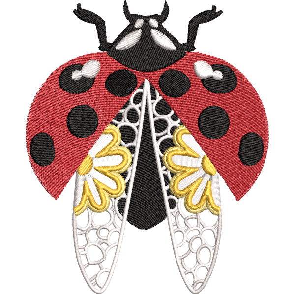 Ladybird Beetles