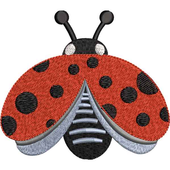 Beautiful Ladybird Design