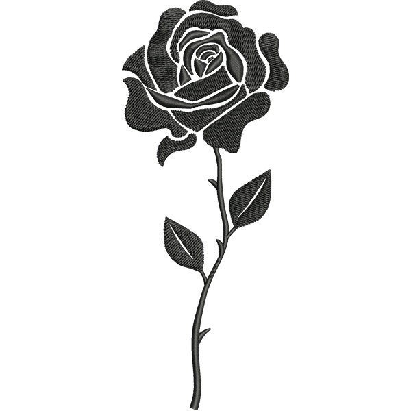 Midnight Rose Design