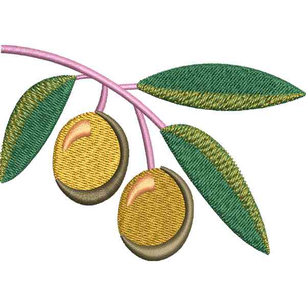Fresh Olive Design