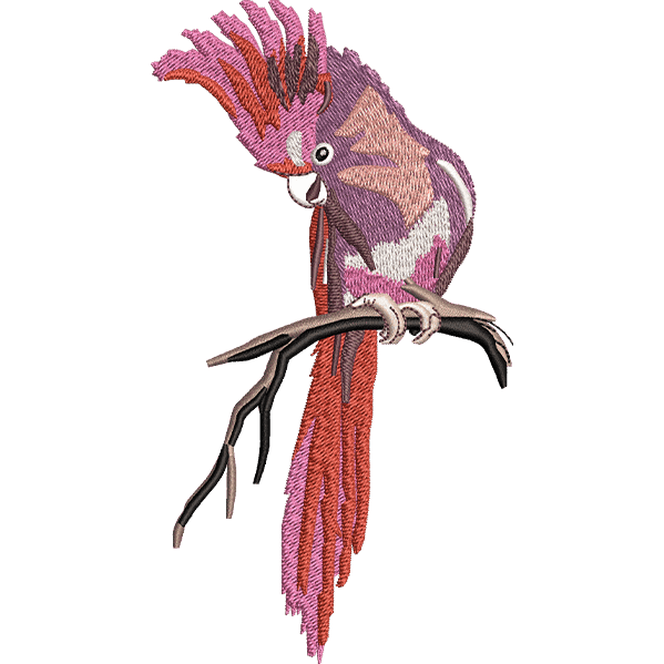 Multicolor Parrot Design