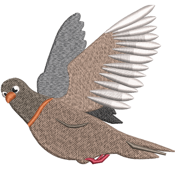 Pigon A Design