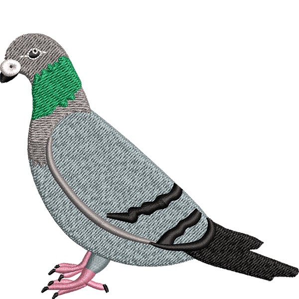 Pigeon Embroidery Design