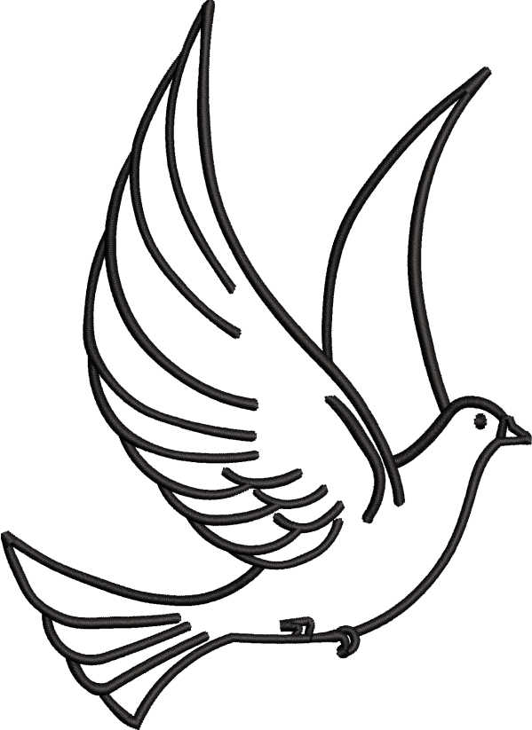 Flying Pigeon Design