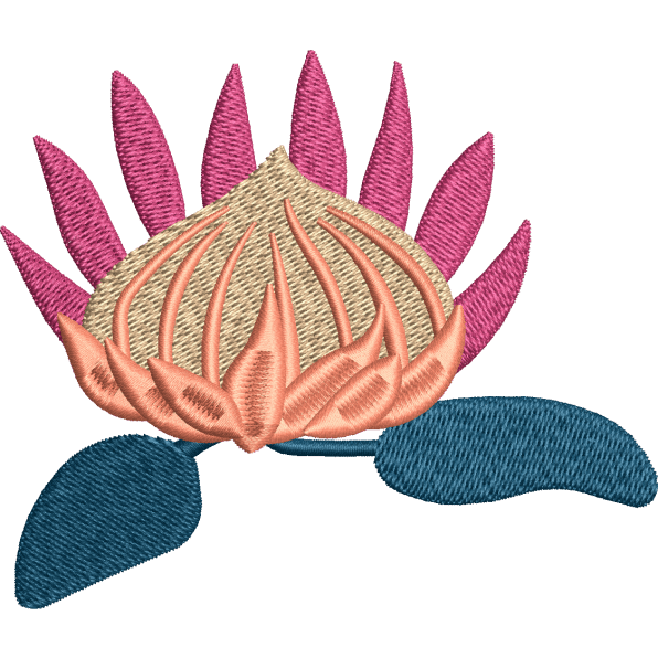 Orchid Flower Design